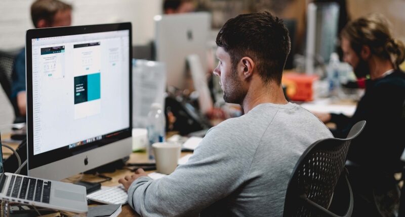 Partita iva falsa conseguenze