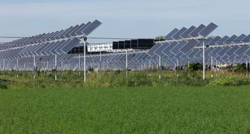 dm agrivoltaico requisiti dm agrivoltaico requisiti