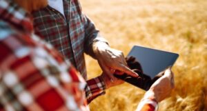 rivalutazione terreni 2025