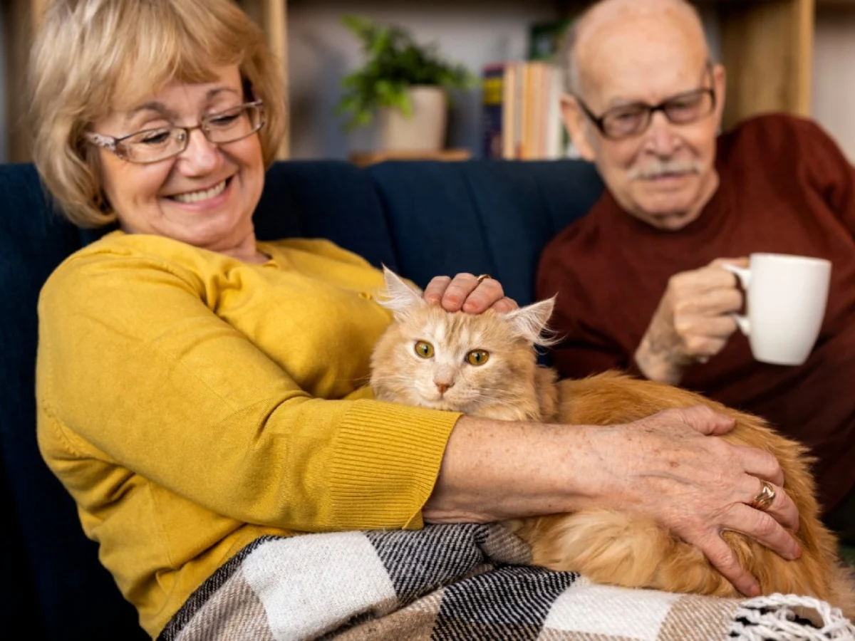 bonus cani gatti 2025