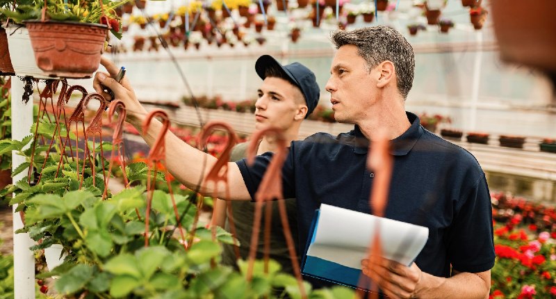 ismea giovani imprenditori agricoli