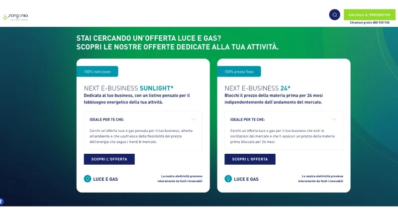 Offerta luce e gas Sorgenia Business