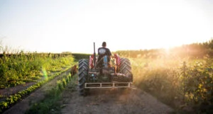 Bonus imprese agricole 2026