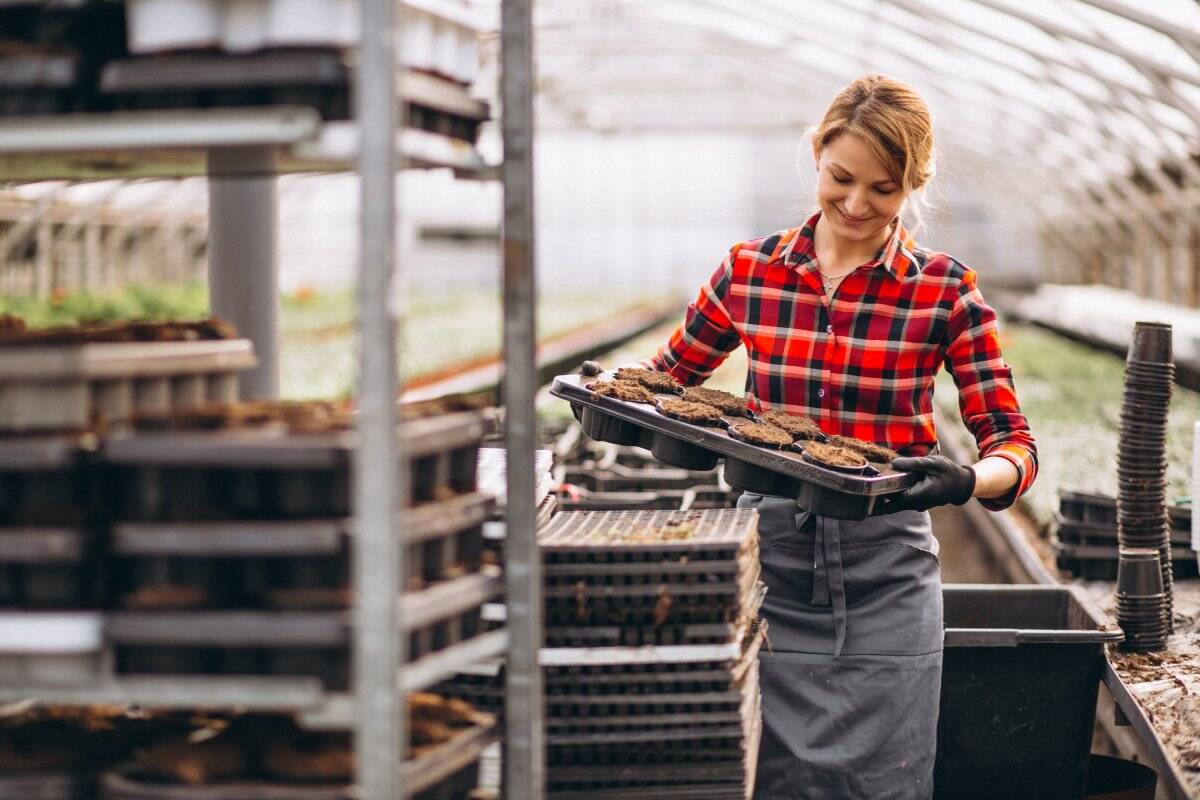 migliori imprese calabria