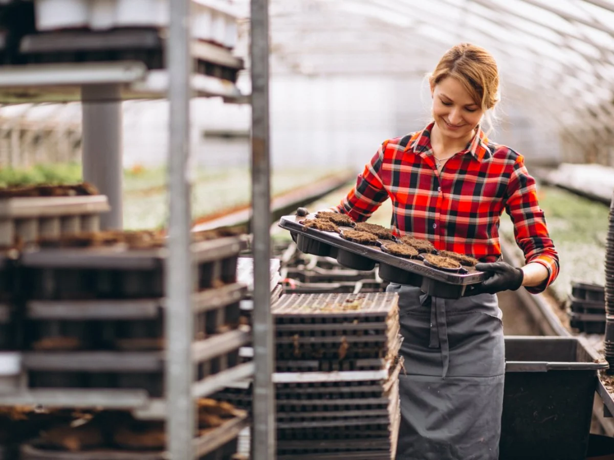 migliori imprese calabria